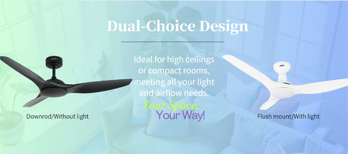 Şirketle ilgili en son haberler 1stShine'den özelleştirilebilir seçenekler