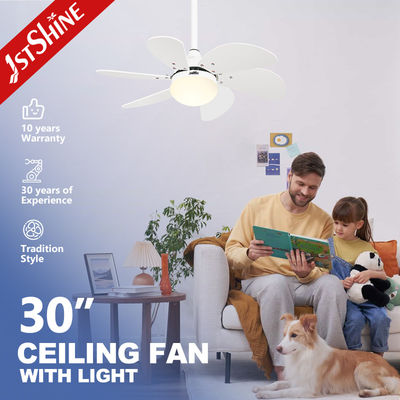 Beyaz bıçaklı ve 6 Hızlı 1stshine Tavan Fan Light 110-240V/50Hz-60Hz Giriş Voltajı